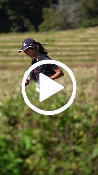 BIB:  <button type="button" onclick="openModal(26787395)" class="btn btn-primary btn-sm float-right" data-toggle="modal" data-target=".modal-high-quality">
                <i class="fa fa-download"></i> Download
                </button>